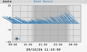 Wind Vector